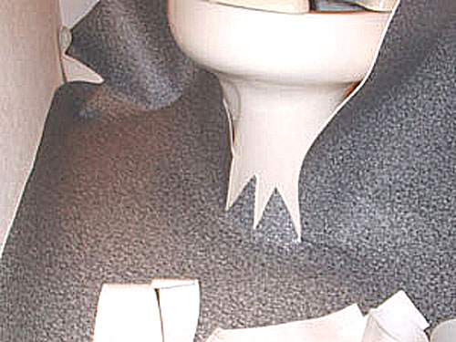トイレのクッションフロアを自分で張替える方法 ルームファクトリー